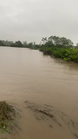 Chẳng còn j để mất #xuhuongtiktok 