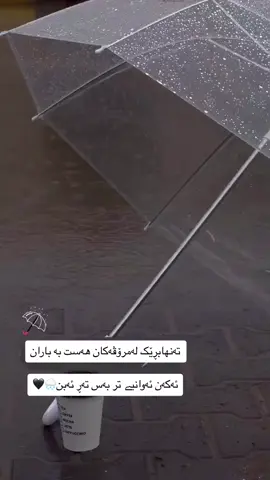 #الحمدالله_دائماً_وابدا #allah❤️ #cat 