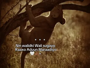 Frr..   #fypvirall #viral_video #fypシ゚ #foryoupage 