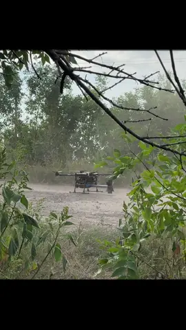 #меч #арея #gladius #arei #рекомендації 