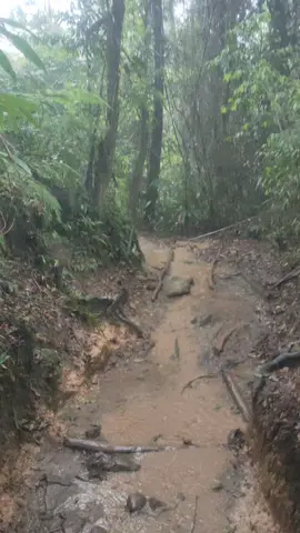 kebelet Pengan ke WC😭😭