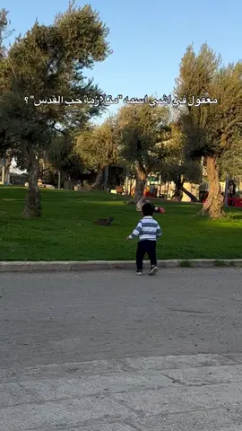 #الشتاء_في_القدس #اخبار_القدس_اليوم #اجواء_القدس #القدس_اليوم_اخبار #القدس_اليوم 