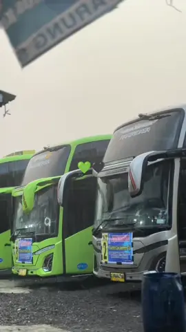 🤭🤭#bismilahfyp #fyppppppppppppppppppppppp #busmaniacommunity #storybusmania #4u 