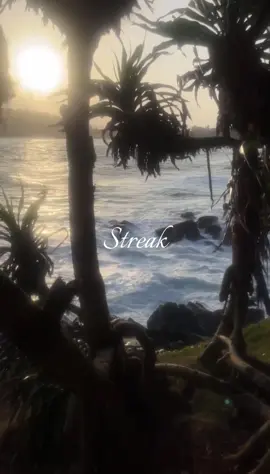 𝒮𝓉𝓇ℯ𝒶𝓀 𝓇ℯ𝓂𝒾𝓃𝒹ℯ𝓇 ˖°𓇼🌊⋆🐚🫧 #streak #reminder #zyxcba #fypageシ 