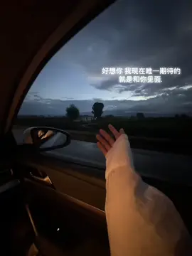 好想你 我现在唯一期待的就是和你见面. #文案 #fypシ゚ #热门 