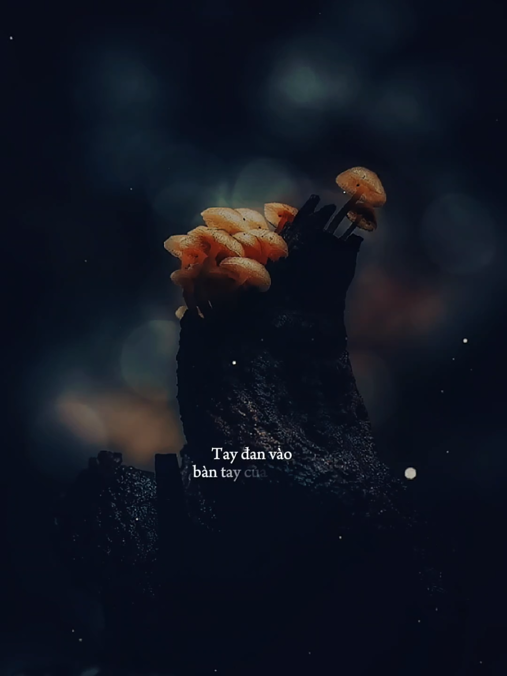 Nguyện cầu đến 50 năm về sau... [ 50 Năm Về Sau ] #50namvesau #nhacbuontamtrang #tramcamxuc💔 #maucapcut #phonhac 