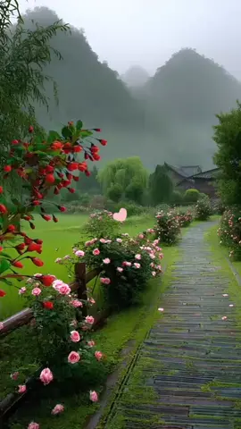 #promomakanharian  #anakmotor 