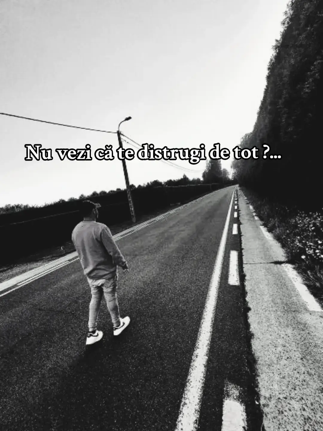 #foryoupage❤️❤️ #viral #gipsyking💎👑 #piatraneamt 