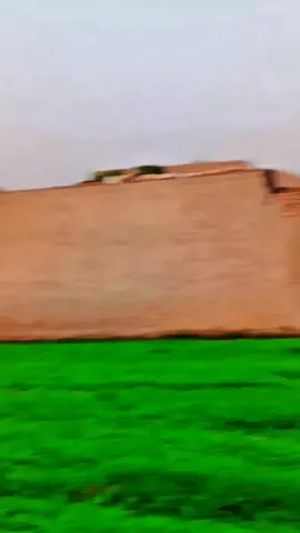 #viral #foryou @Muhammad Kamran 