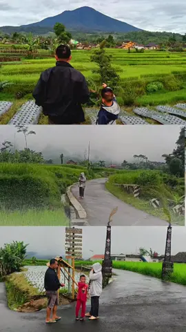 #garut #pesonaindonesia #alampedesaan #keindahanalam 