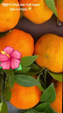 #tiktokviralvideo #foryoupage #CapCut #ppppppppppppppppppppp #suntala🍊 