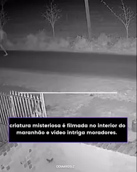 MEU DEUS! 🎥😳 um vídeo que circula nas redes mostra uma figura humanoide magra e pálida se movendo de forma estranha perto de uma cerca na zona rural. nas imagens, a criatura parece interagir com cães e cabras, o que deixou moradores assustados. apesar de casos parecidos já terem sido identificados como montagem digital, ainda não há confirmação de que o vídeo seja falso. a comunidade local está em alerta enquanto o conteúdo continua viralizando. #curiosidades #reelsexplore #curioso