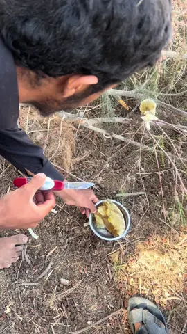 #الريشه_وادي_عربه #السعيديين_الحويطات #اكسبلورررررررررررررررررررر♡♡ 