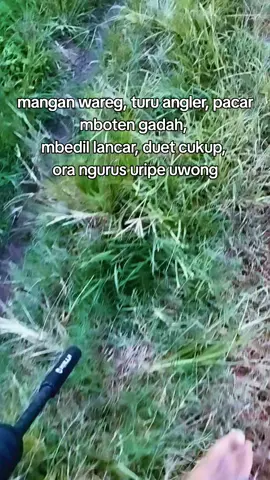 bodoamat #Hunting #bedilerindonesia🇮🇩 #salamsatularas #foryou #fyp 