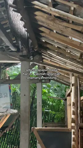 #pemulabarubelajar #promomakan1111 #peternakmuda #mburiomahofficial #fypシ゚viral 