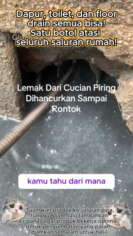 Dapur, toilet, dan floor drain semua bisa! Satu botol atasi seluruh saluran rumah!