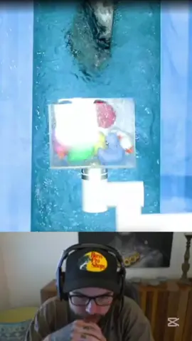 Duck.io part 1🔥🔥 #duckseason #racing #green #Roobet 