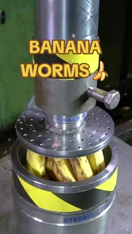 Where It All Started 🍌🐛💥