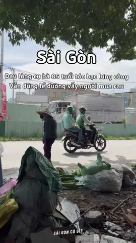 Ngoại 85 tuổi rồi, mắt mờ đục, tóc trắng như sương, răng rụng hết, lưng còng mà giữa trưa thấy đứng vẫy người mua rau giúp thấy thương quá. Từ này rời vào trong này ế quá, nên Ngoại đành làm vậy, còn mần được, Ngoại không xin ai, nhưng ế quá, ngày nắng còn đỡ, mưa cực quá. Ở nhà còn ông 95 nữa. Mọi người đi ngang mong ghé vô mua ủng hộ giúp ngoại, mua đâu cũng là mua ạ, em cảm ơn mọi người!#saigoncogi #saigon #hot #xuhuong2024 