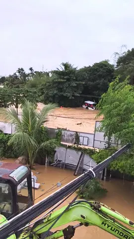 NAM MÔ A DI ĐÀ PHẬT#hanhat #phongthuyhanhat 