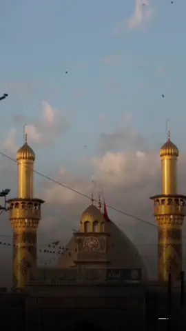 #CapCut  شكراً يا ابو فاضل خلصت بزودك 💚 #ترند_اليوم 	•	#اكسبلور_تيك_توك 	•	#كربلاء 	•	#ابو_الفضل_العباس 	•	#دعاء_اليوم 