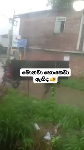 හොයා ගන්න බැරුව වගේ