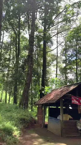 @𝕴𝖑𝖍𝖆Ⓜ️🥷 day 1 sedurung plecit kecelakaan totallll 😭😭#purwantoro24jam #kecelakaan #girimanik #wonogiri24jam⚡ #lewatfyppppppppppppp 