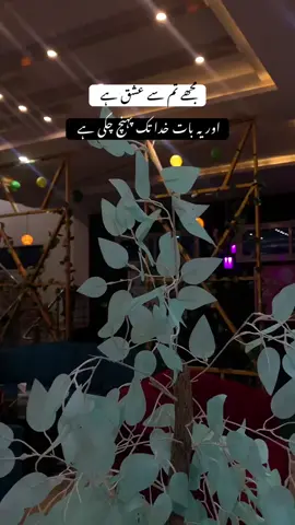 #اور سجل مجھے میرے کئی خونی زشتوں سے زیادہ عزیز ہے 🫶🏻#repost #ranaxvibes2