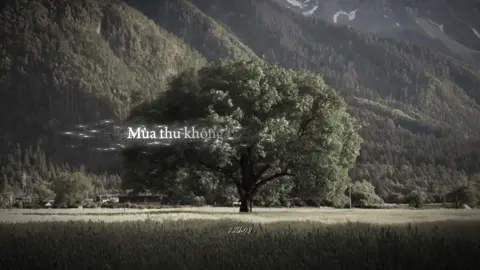 Mùa thu đó anh có em... hai tiếng yêu thương anh không thể trao cho ai nữa...!~#fyp #lyricsvideo #09th02_8 #tamtrang #xuhuong 