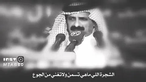 #اكسبلورtiktok# explore#شاعر _يام  # علي _ ابن _ بلال # شعر _ بوح 📮