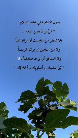 #مقولات_الامام_علي #اقوال_الامام_علي_عليه_السلام #اقوال_الامام_علي_عليه_السلام📜_✏️ #عباس_داود #اشهد_ان_علي_ولي_الله 