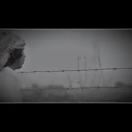 #المصمم_ابوسمره #تيم_الصقور_للتصميم #تصاميم_فيديوهات🎵🎤🎬 #tiktok #ستوريات 