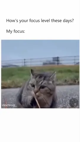 Do you seeeeeeeeeee 😂😂 #foryoupage #1millionaudition #fyp #fyp= #foryoupage #1millionaudition #fyp #fyp> #foryoupage #1millionaudition #fyp #fyp* #foryoupage #1millionaudition #fyp #fyp> #foryoupage❤️❤️ #foryoupage❤️❤️ #foryoupage❤️❤️ #foryoupage❤️❤️ #foryoupage❤️❤️ 