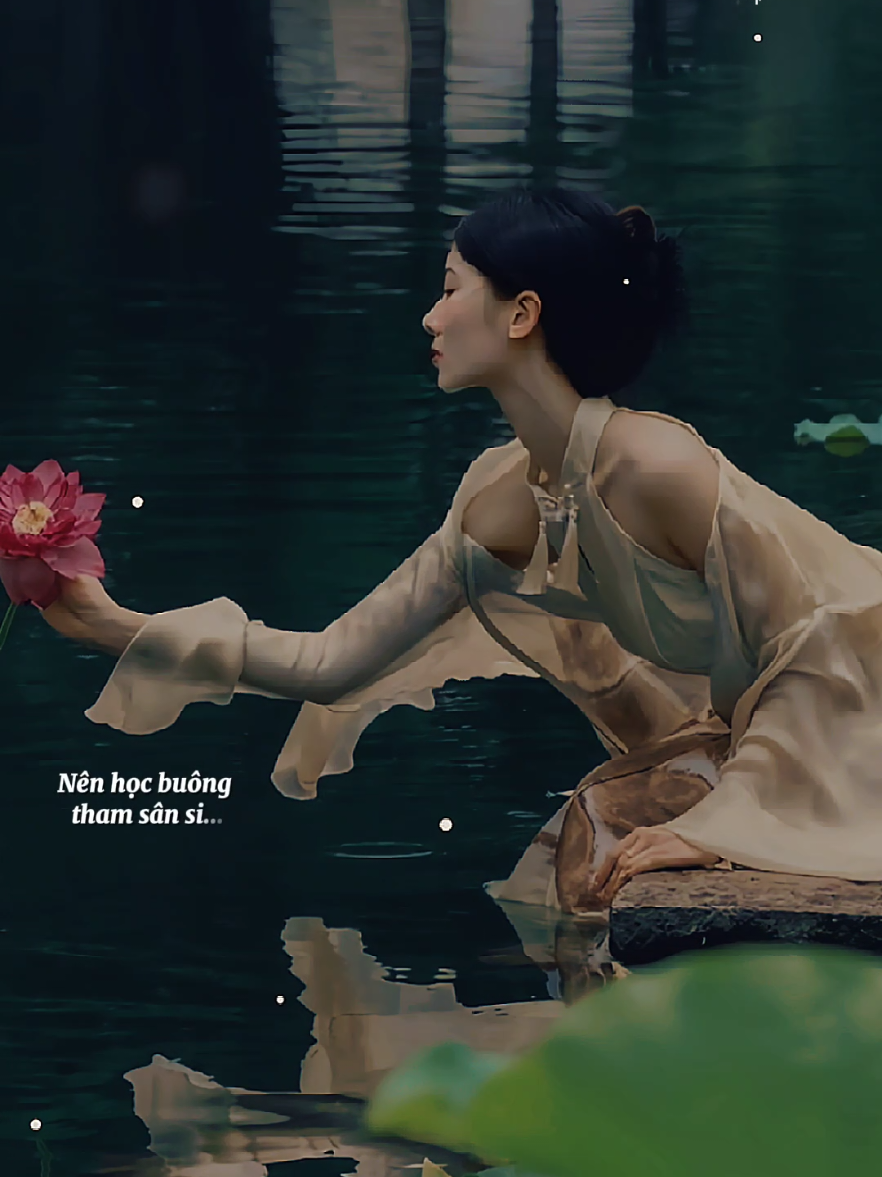 Con thấy vô thường tan nhanh thì đúng nên học buông tham sân si... #nhacbuontamtrang  #tramcamxuc💔  #maucapcut  #gocphoamnhac1991 