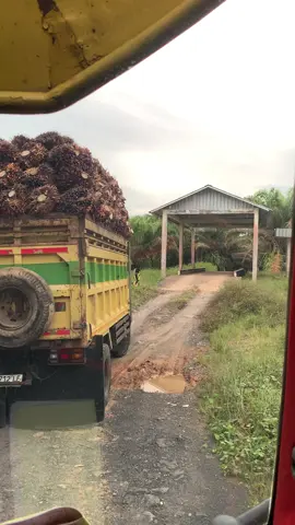 Nyaris roboh@marsianus lutut #fypシ#fypシ゚viral🖤tiktok#sawitbalap🤙#kalimantanbarat#kalimantanbarat 