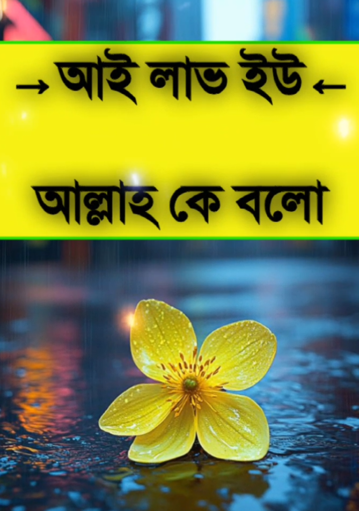 আই লাভ ইউ আল্লাহ কে বলো...? #fypシ゚viral🖤tiktok☆♡🦋myvideo#বাংলা_স্ট্যাটাস_ভিডিও #ভিডিওটা_ভালো_লাগলে_শেয়ার_করবেন। #foryou #yppppppppppppppppppppppp @🥀ইচ্ছে পাহাড়🥀 @TikTok Bangladesh @🔰হাফেজ সাকীব🔰 @Khabane lame @🧚‍♀️★..Riya..★🧚‍♀️ @for you @👑 মাঁয়াঁবীঁ শেঁহঁজাঁদাঁ 👑 @charli d’amelio @vairal tik tok I'd ⛎ 