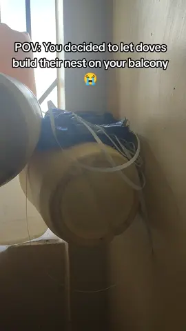 How do I clean the wall now? 😭#stacekimmy 