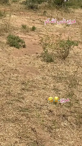 #😂😂😂😂😂😂😂😂😂😂😂😂😂😂😂 