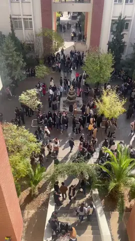 #kargeri_u_aburi #zankoislemani 