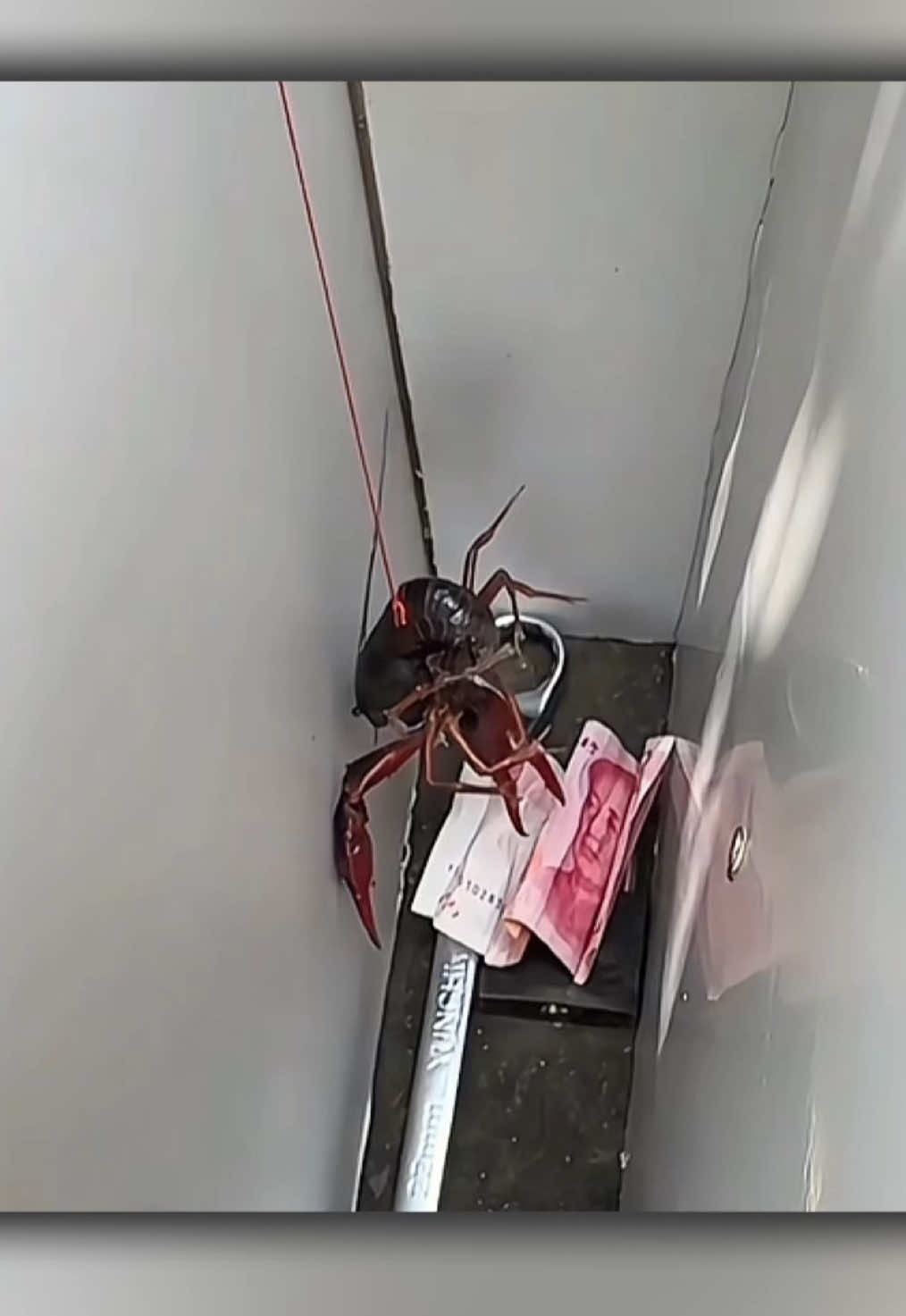 أفكار وحيل عبقرية لحل المشاكل اليومية .. الأخيرة ستصدمك #حيل  #أفكار  #نصائح  #lifehacks  #DIY 