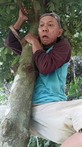 tolong aku guru,,,  #humor#funnymoments#komedy#tolongguru