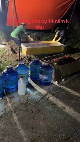 # bocmo # dichvuhoatang