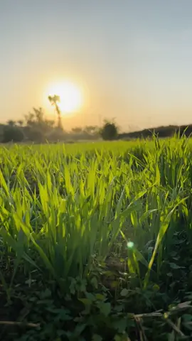 تصويرييي#تصويري #عباراتكم_الفخمه📿📌 