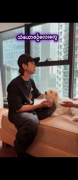 #ကြည်နူးစရာသံယောဇဉ်လေးတွေ🌹#@ZawShineHtetOfficialFanclub #zawshinehtet #Sunshine 