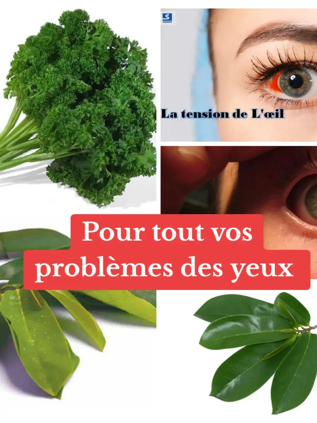 #france🇫🇷 #etasunis🇺🇸 #canada_life🇨🇦 #gabon🇬🇦 #cotedivoire🇨🇮 