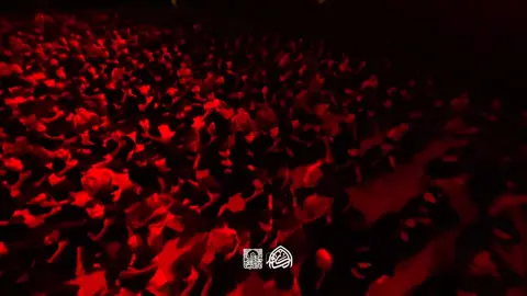 #مرتضى_حرب #حسينيه_داود_العاشور #سيد_فاقد_الموسوي #مشاهدات #fyp 