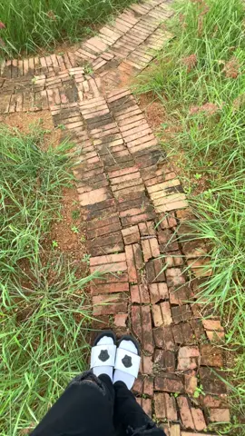 Đồi cỏ hồng🌸🌹 siêu chill - Chí Linh Hải Dương #doicohong #viewdep #chill #xuhuong #TiktokAwardsVN 