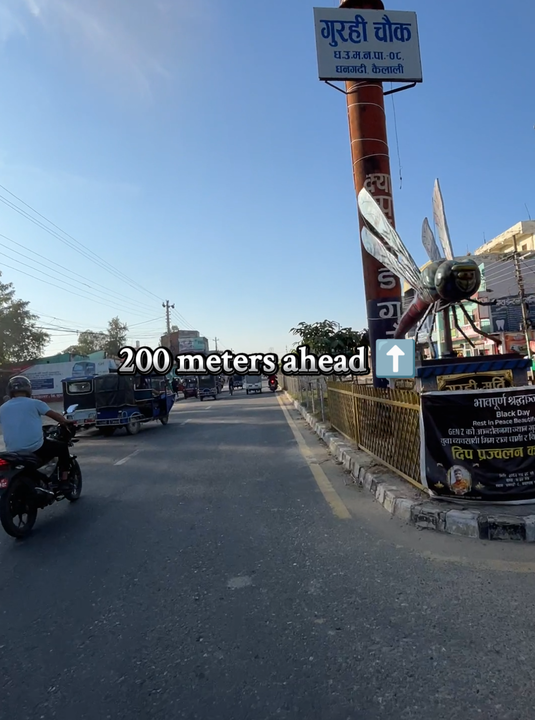 LOCATION VIDEO 📍 NEAR WARD KARYALAYA 8 OFFICE 📍  #foryoupage #locationvideo #dhangadhimuser #campusroad #creatorsearchinsight 