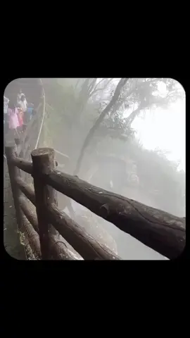 DEKH LENA..........✨ #fyp #foryou #foryoupage #songlyrics #viralvideo 