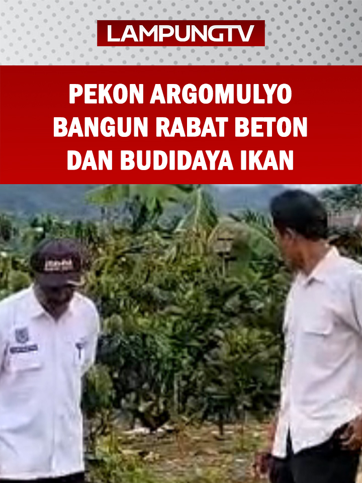 BATU KETULIS (17/11/2025) – Pemerintah Pekon Argomulyo, Kecamatan Batu Ketulis, Kabupaten Lampung Barat, merampungkan pembangunan jalan rabat beton dan mengembangkan budidaya ikan nila sesuai program ketahanan pangan. Kegiatan ini bersumber dana desa tahun 2025. Pembangunan jalan rabat beton sepanjang 200 meter di Pemangku II telah selesai. Warga mengaku sangat terbantu karena akses menuju perkebunan kini lebih mudah. Sebelum diperbaiki, jalan usaha tani tersebut sulit dilintasi terutama saat musim hujan ketika kondisi jalan berlumpur dan licin. Pekon Argomulyo juga menjalankan program ketahanan pangan dengan membudidayakan 9.000 bibit ikan nila yang ditempatkan pada dua kolam, sekaligus memperkuat operasional Badan Usaha Milik Desa. Dana desa membiayai pembangunan jalan rabat beton sepanjang 200 meter dan gorong-gorong untuk mempermudah masyarakat mengangkut hasil panen kopi, pisang, dan sayuran. Desa mengembangkan budidaya ikan nila sebagai upaya pemenuhan gizi masyarakat dan pencegahan stunting. Hasil panen ikan nila memenuhi program gizi seimbang dan kebutuhan masyarakat kurang mampu. Pemerintah pekon berharap seluruh kegiatan dana desa dapat memberikan manfaat dan kesejahteraan warga. Dengan rampungnya pembangunan infrastruktur dan program ketahanan pangan, masyarakat Pekon Argomulyo berharap peningkatan ekonomi dan kesejahteraan warga terus berkembang. @lampungtelevisi.com